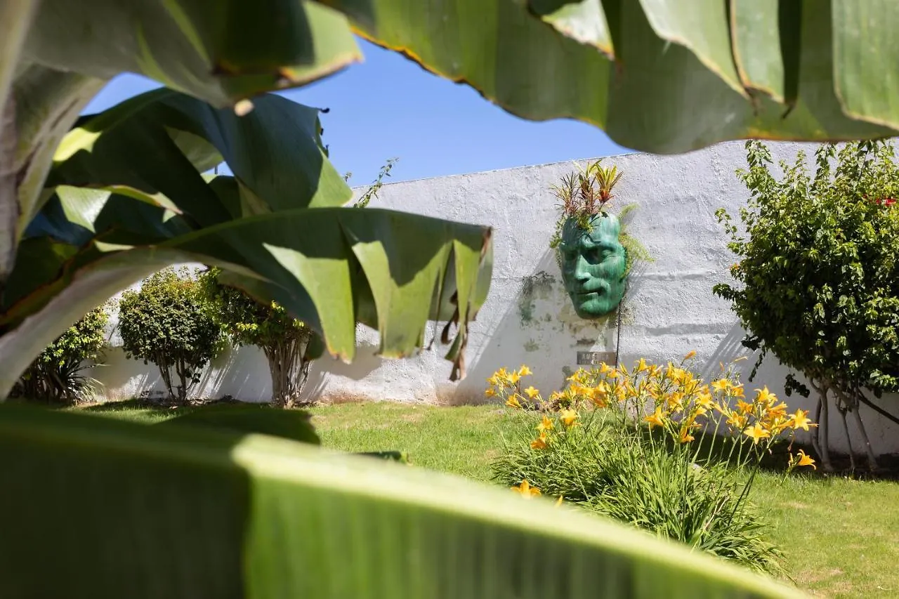 Casa vacanze Marina 8 - Vivienda Vacacional En El Corazon Del Puerto De La Cruz Puerto de la Cruz  Spagna